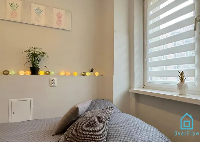 Pineapple 10 Min To Old Town Gdansk,pkp & Shopping Mall